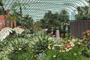 14-Singapore - Flower Dome